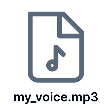 Audio Input Audio Input